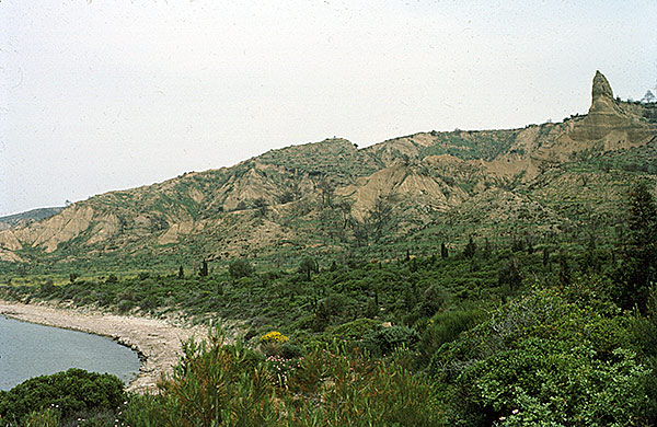 Anzac cove